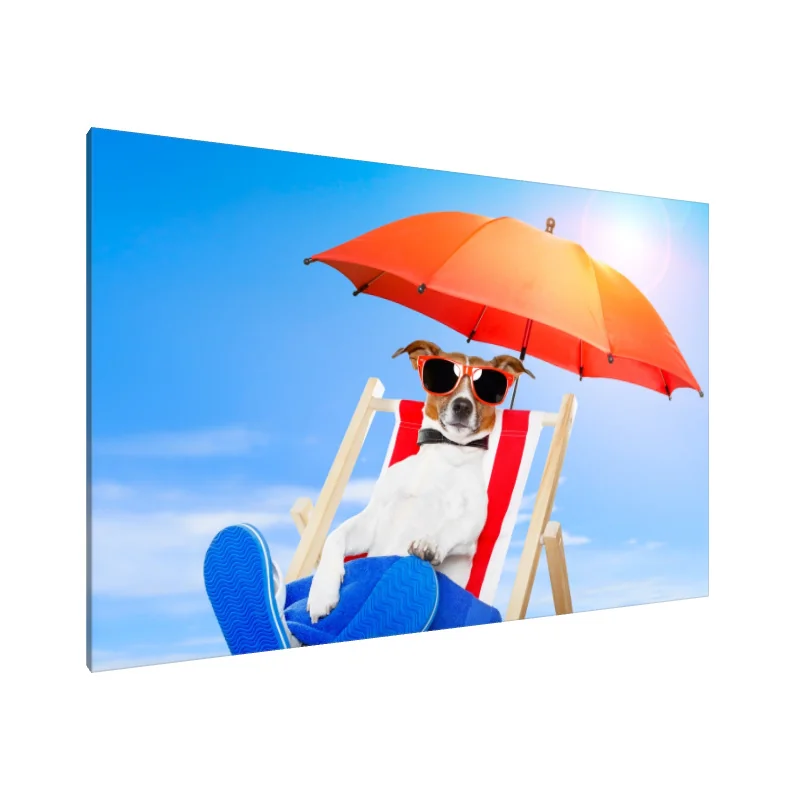 Tablou Canvas: Lăbuțe & Relaxare