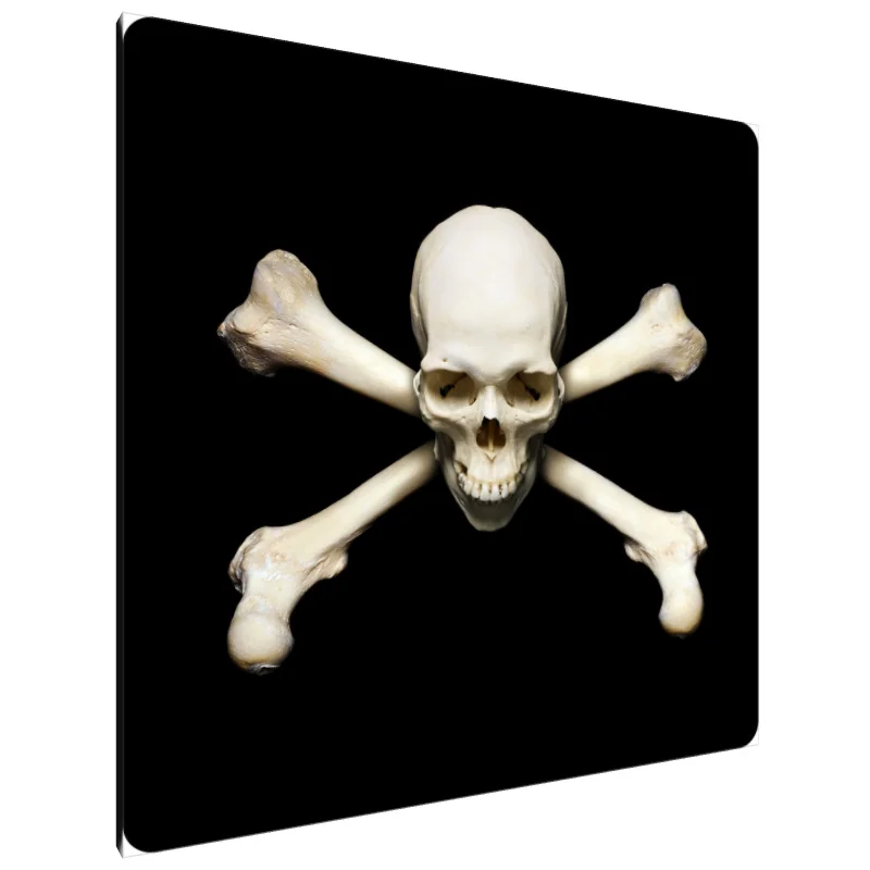 Tablou Canvas: Emblema Piraților