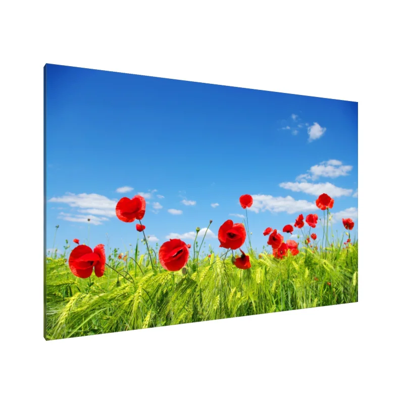 Tablou Canvas: Vise cu maci