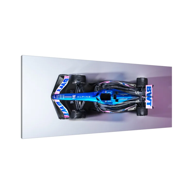 Tablou Canvas: Precizie în curse