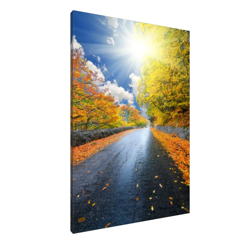 Tablou Canvas: Drum radiant de toamnă - Image 1