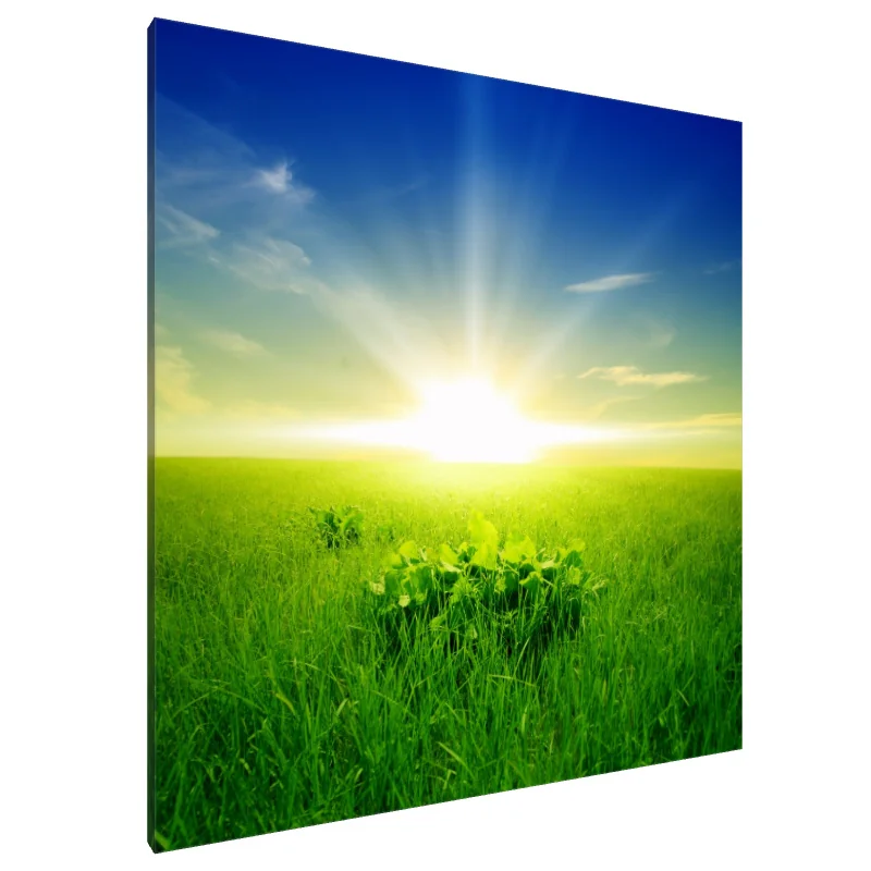 Tablou Canvas: Zori Radiant