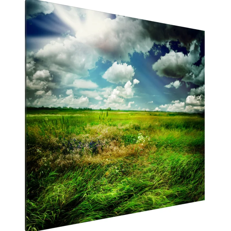 Tablou Canvas: Pajiști Radiante