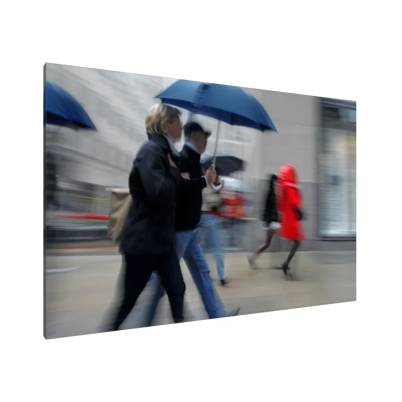 Tablou Canvas: Fugă în ploaie