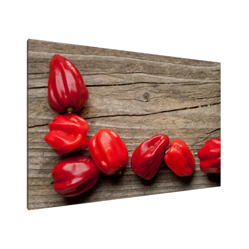 Tablou Canvas: Armonie Rustică Roșie