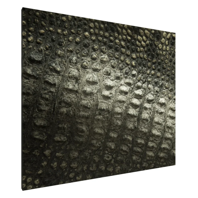 Tablou Canvas: Scara timpului: Armura naturii