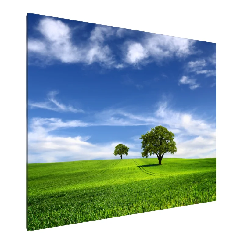 Tablou Canvas: Seninătate în Verde