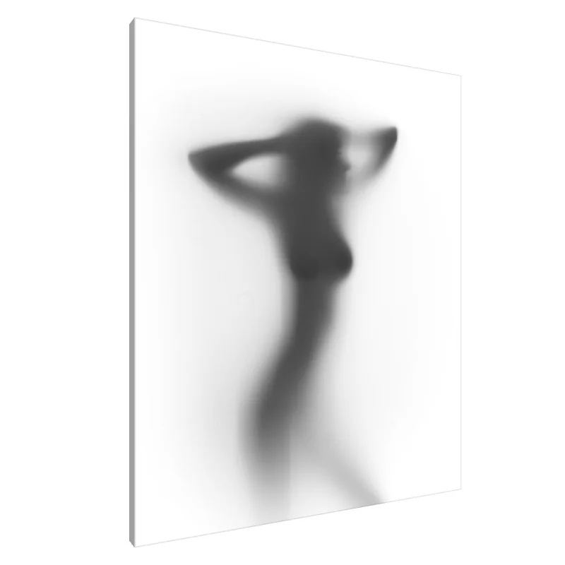 Tablou Canvas: Silueta Seninătății