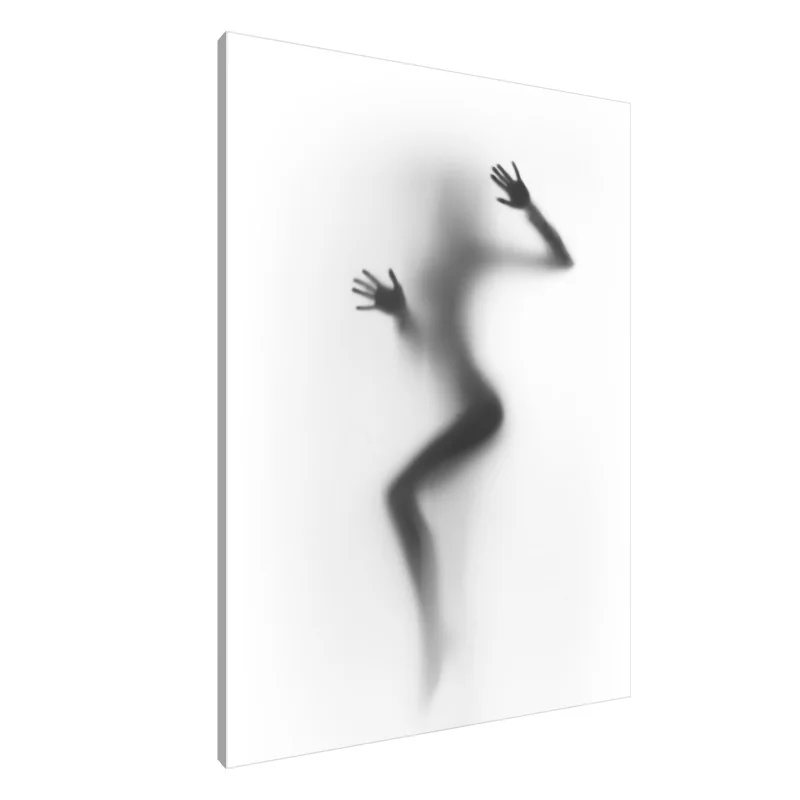 Tablou Canvas: Silueta Seninătății (1) - Image 1