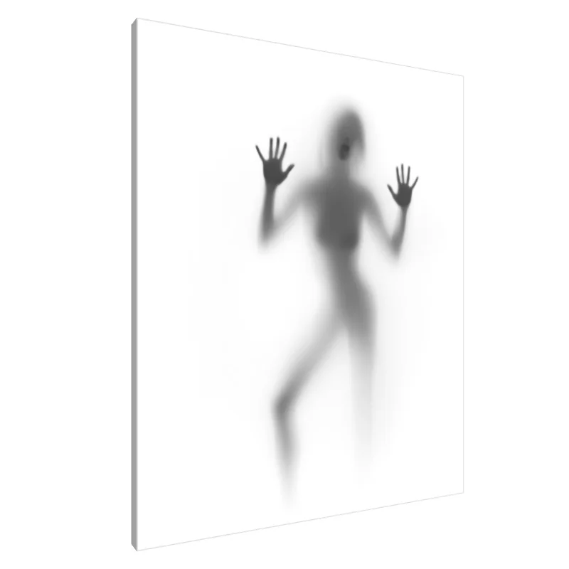 Tablou Canvas: Silueta Șoaptă - Image 1