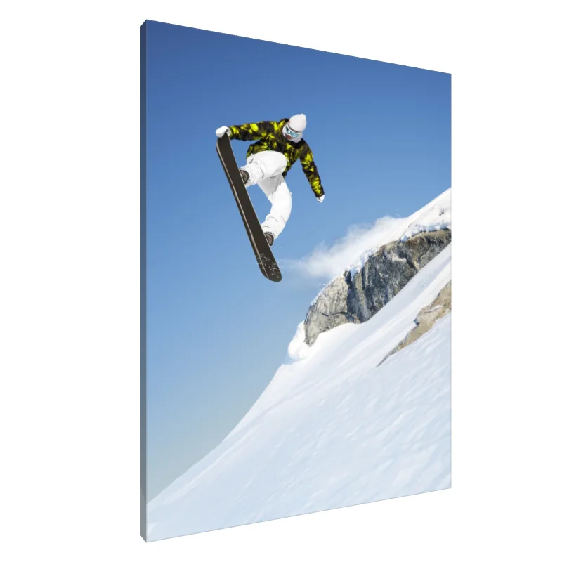 Tablou Canvas: Zbor înzăpezit