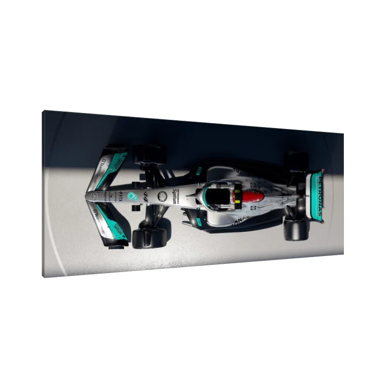 Tablou Canvas: Simfonia Vitezei (1)