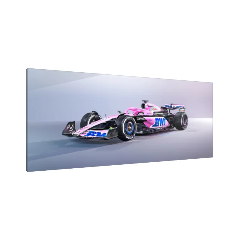 Tablou Canvas: Simfonia Vitezei (9)