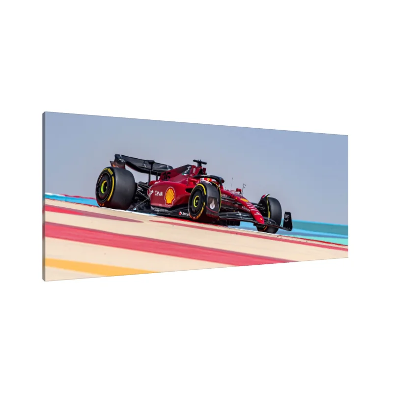 Tablou Canvas: Simfonia Vitezei (6) - Image 1