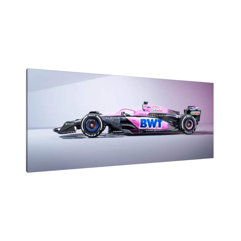 Tablou Canvas: Simfonia Vitezei (11)