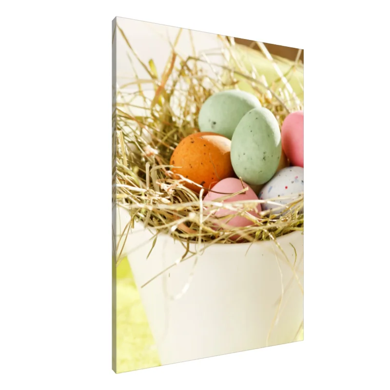 Tablou Canvas: Deliciul cuibului de primăvară