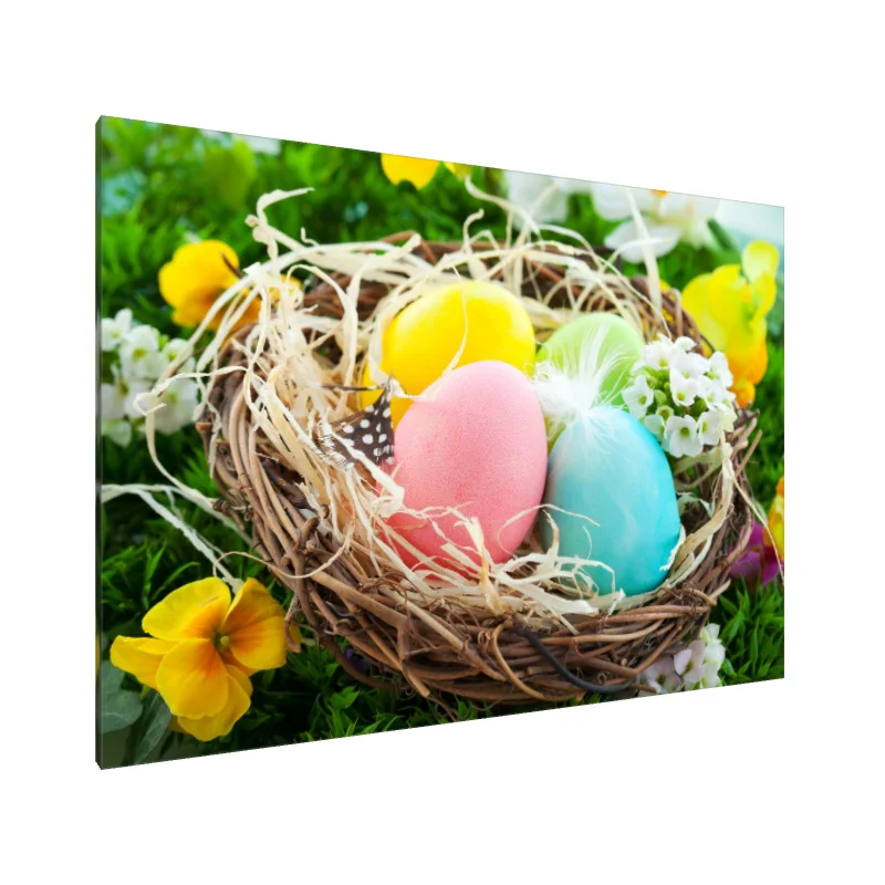 Tablou Canvas: Cuib de primăvară