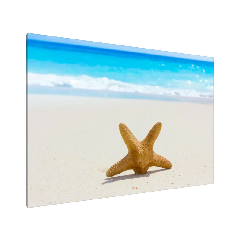 Tablou Canvas: Steaua de pe mal