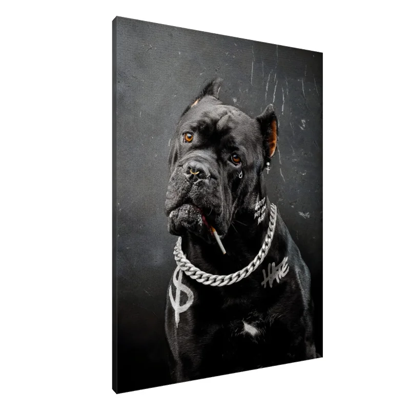 Tablou Canvas: Cățeluș isteț