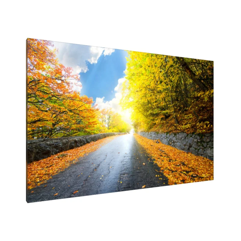 Tablou Canvas: Drum de toamnă luminat de soare