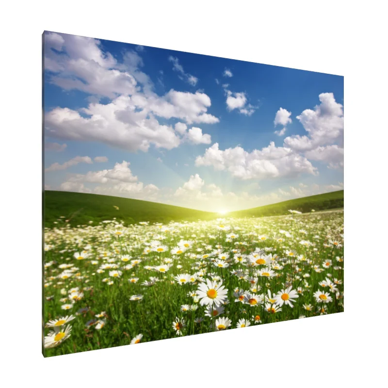 Tablou Canvas: Flori luminate de soare