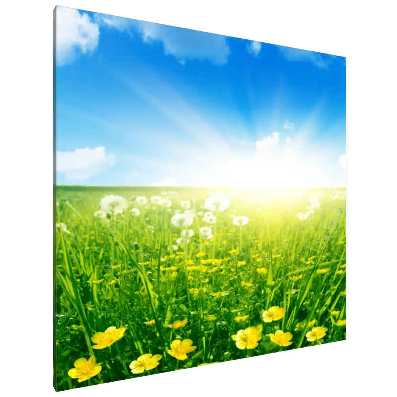 Tablou Canvas: Fericire pe o poieniță luminată de soare - Image 1