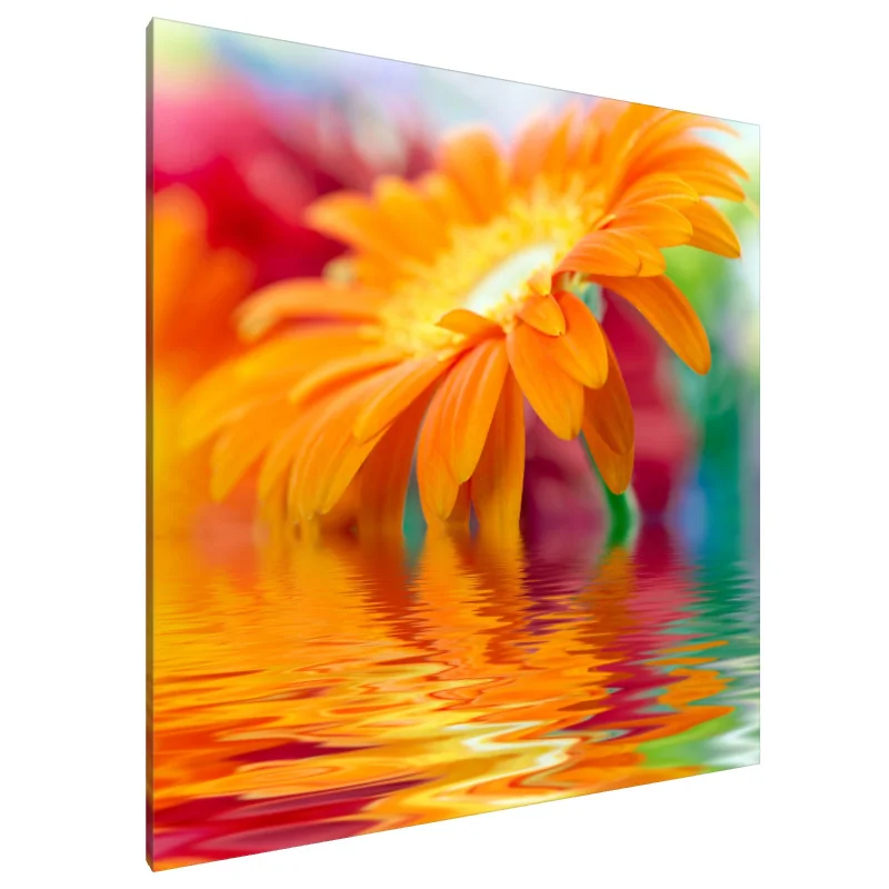 Tablou Canvas: Reflecții luminoase