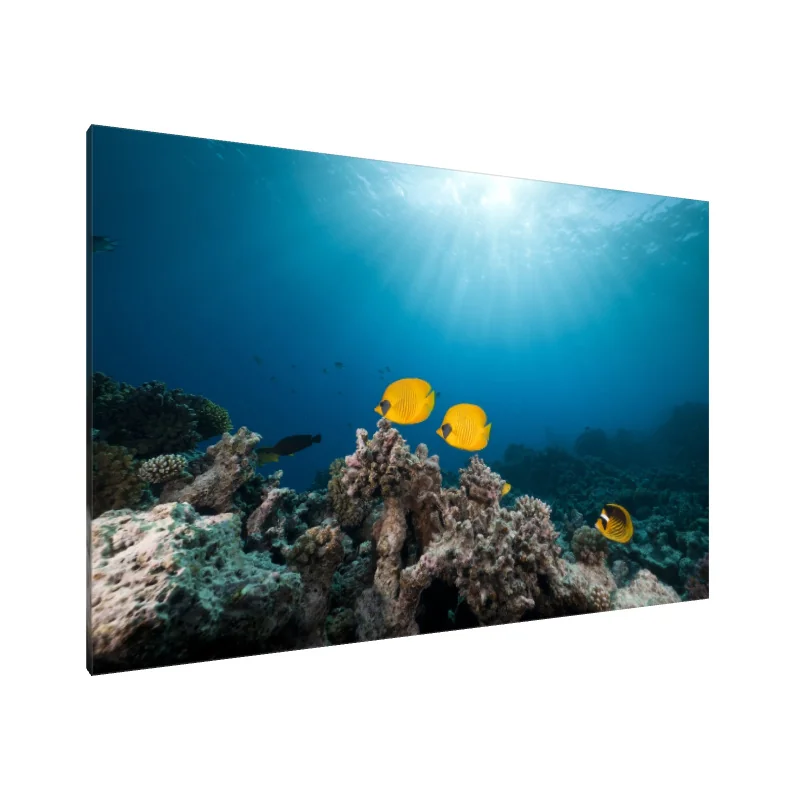 Tablou Canvas: Serenada Mării Luminate de Soare