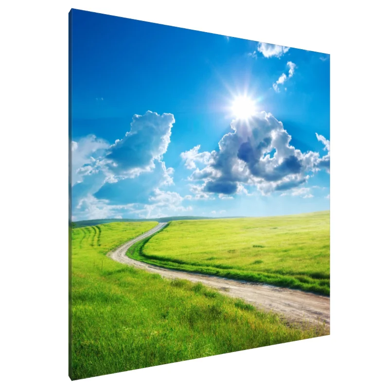 Tablou Canvas: Seninătate luminată de soare - Image 1