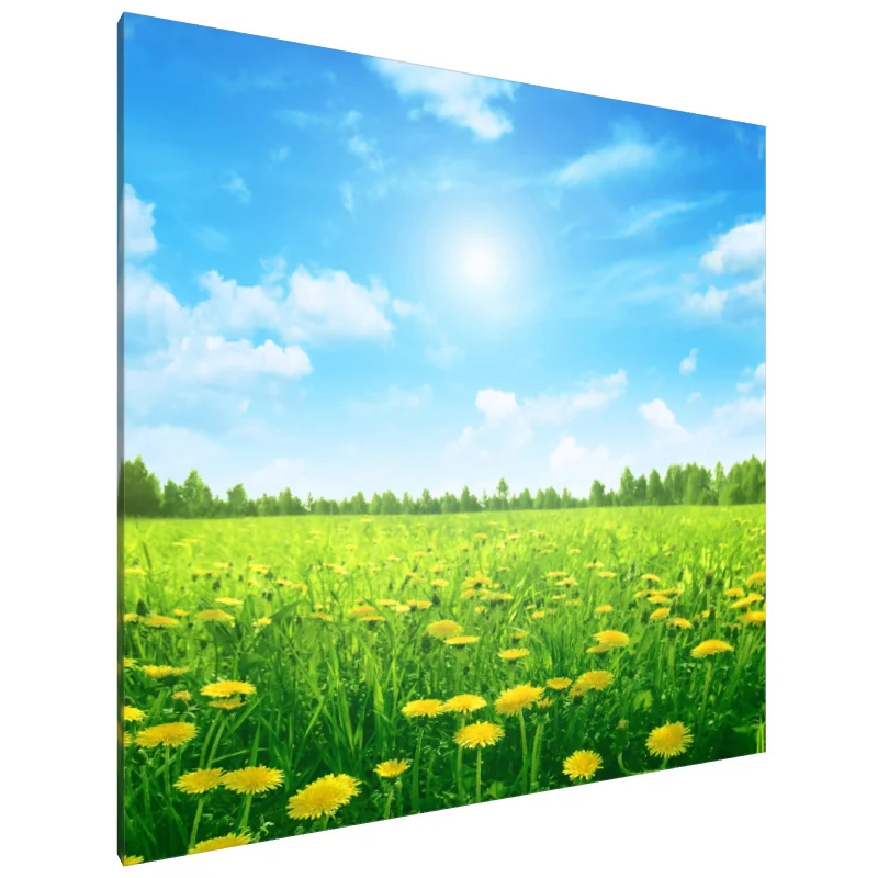 Tablou Canvas: Seninătate luminoasă (2) - Image 1