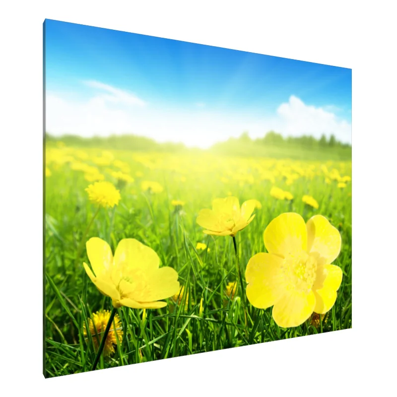 Tablou Canvas: Seninătate luminoasă (1) - Image 1