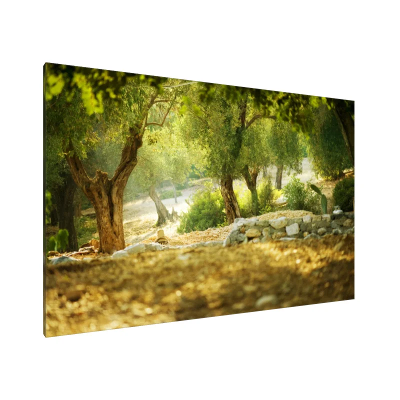 Tablou Canvas: Seninătate luminoasă - Image 1