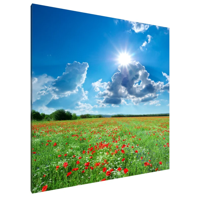 Tablou Canvas: Simfonia luminii soarelui (2) - Image 1