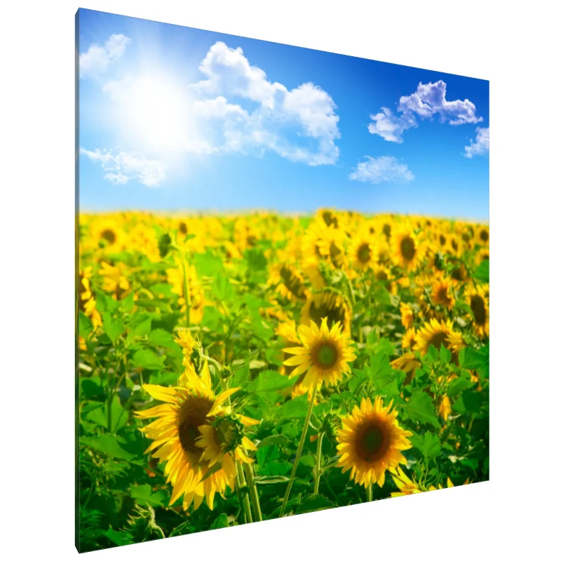 Tablou Canvas: Simfonia luminii soarelui (1)