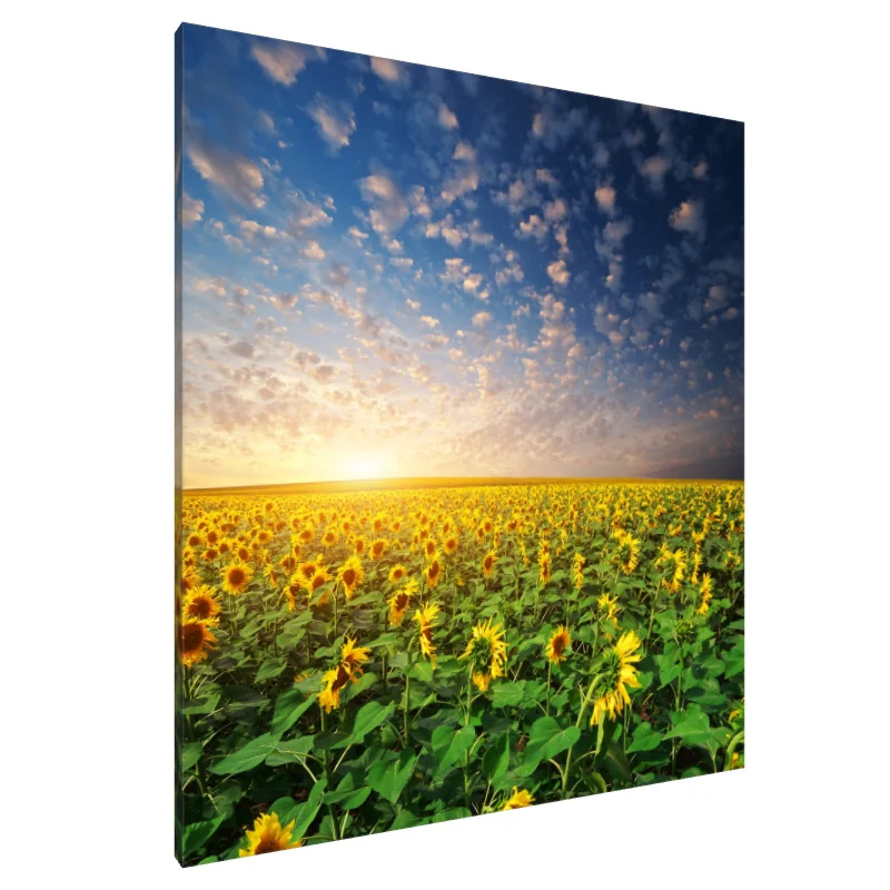 Tablou Canvas: Simfonia luminii soarelui