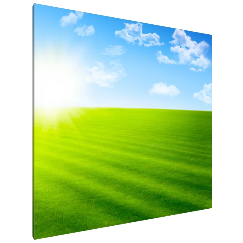 Tablou Canvas: Seninătate însorită (1)