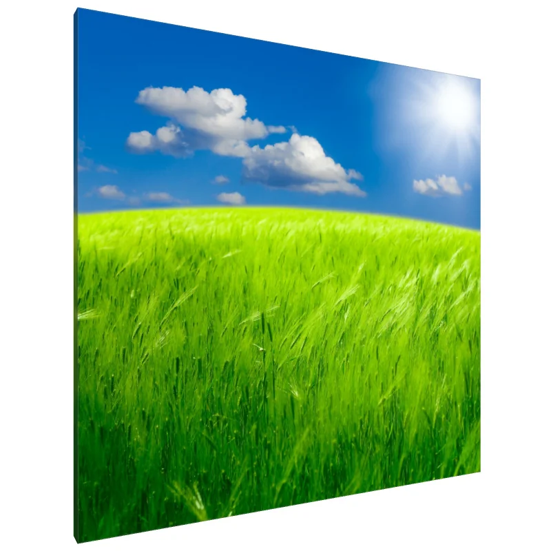 Tablou Canvas: Seninătate însorită