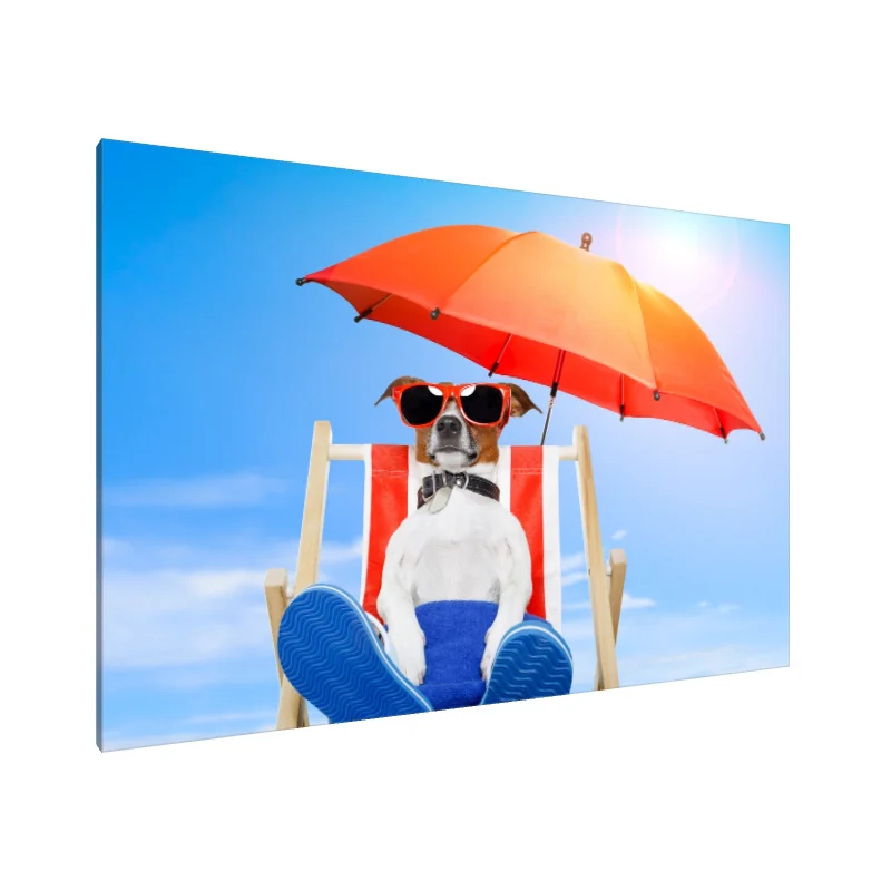 Tablou Canvas: Cățelușul Vesel