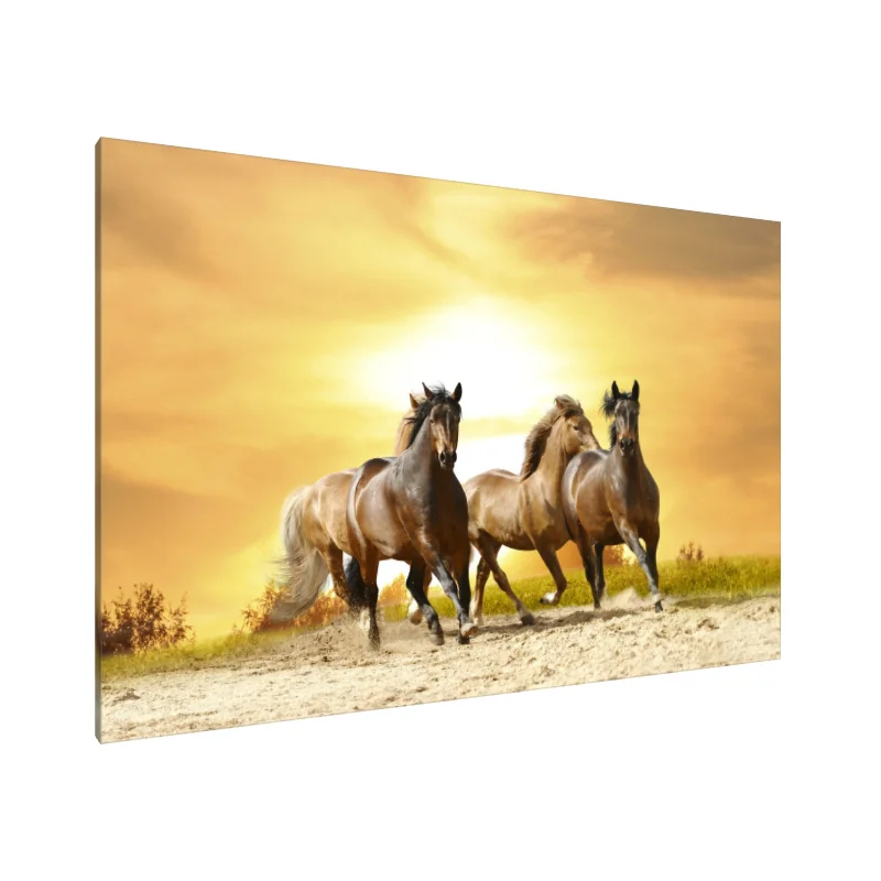 Tablou Canvas: Galop la apus. - Image 1