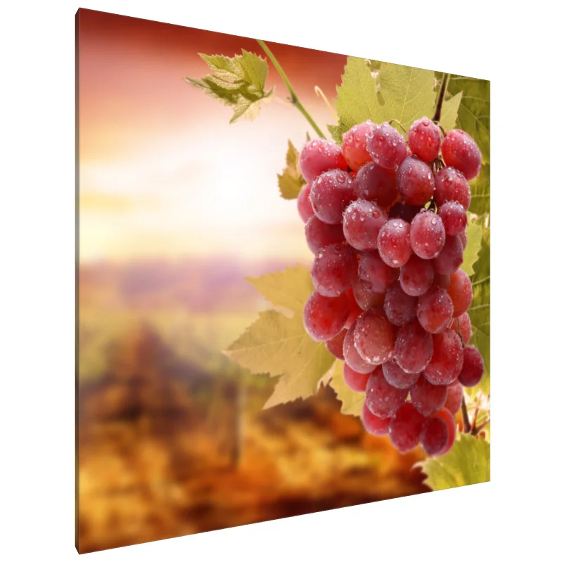 Tablou Canvas: Struguri la apus - Image 1