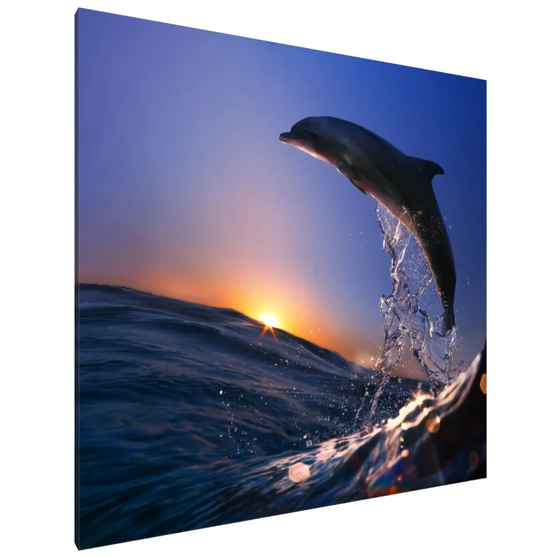 Tablou Canvas: Săritura la apus