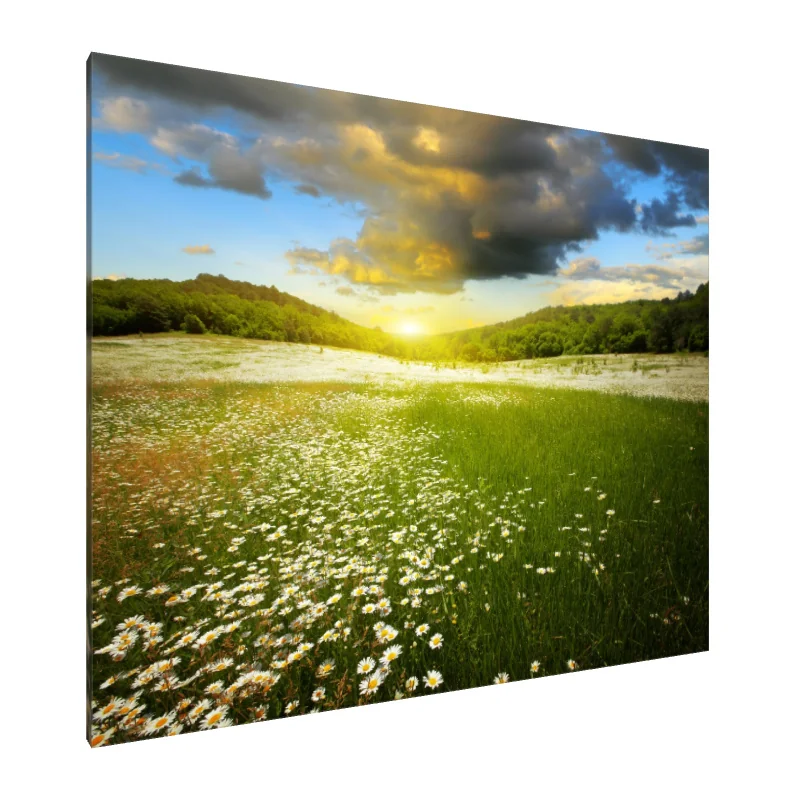 Tablou Canvas: Serenadă la apus