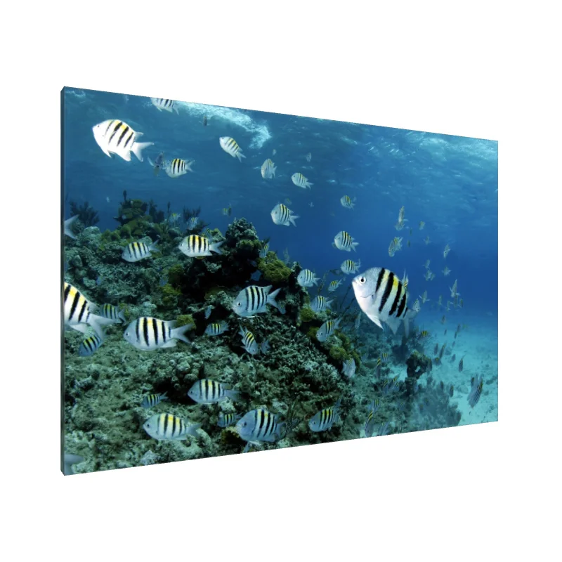 Tablou Canvas: Simfonia Recifului