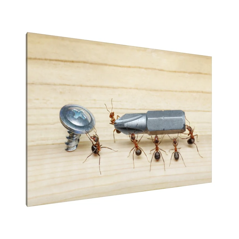 Tablou Canvas: Succesul Echipei - Image 1