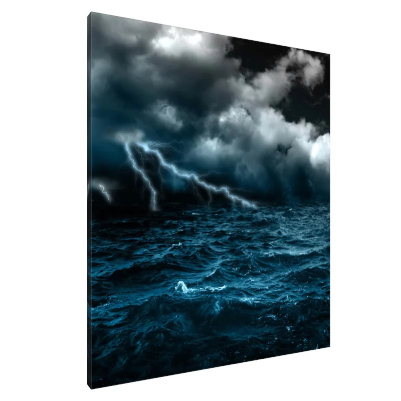 Tablou Canvas: Furia Furtunii