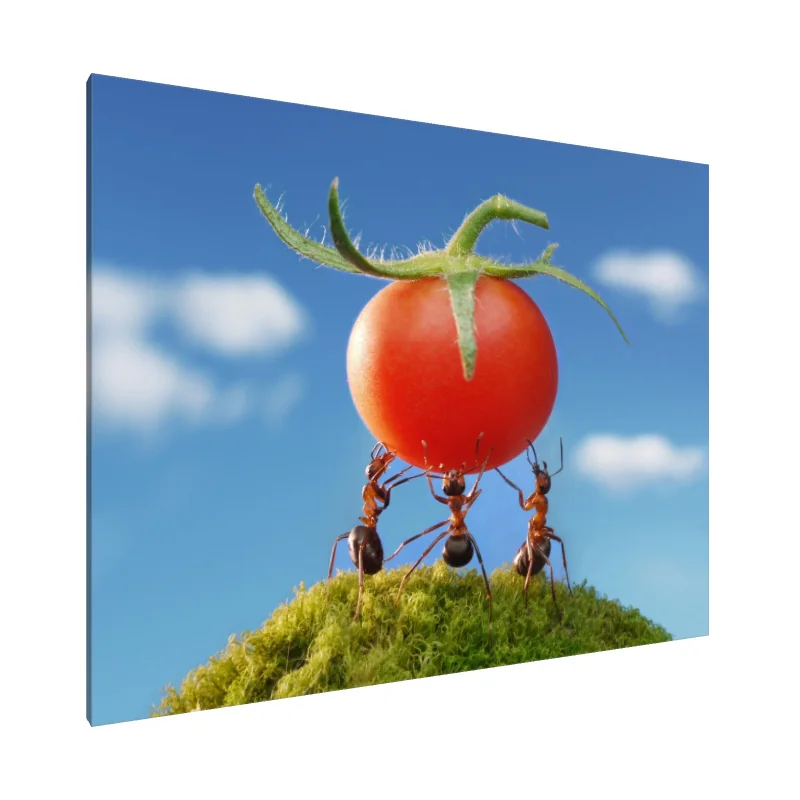 Tablou Canvas: Titani Minunați