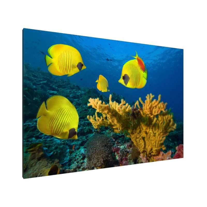 Tablou Canvas: Armonie Tropicală