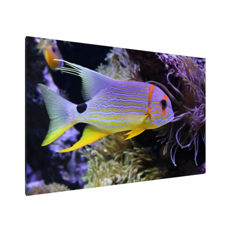 Tablou Canvas: Simfonia Tropicală