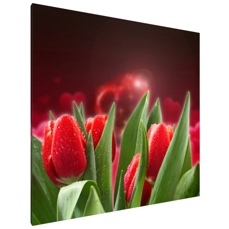 Tablou Canvas: Îmbrățișare de lalele