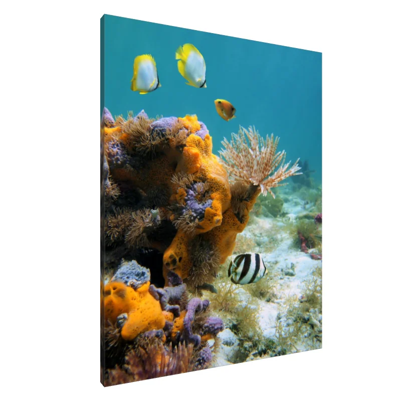 Tablou Canvas: Caleidoscop Subacvatic